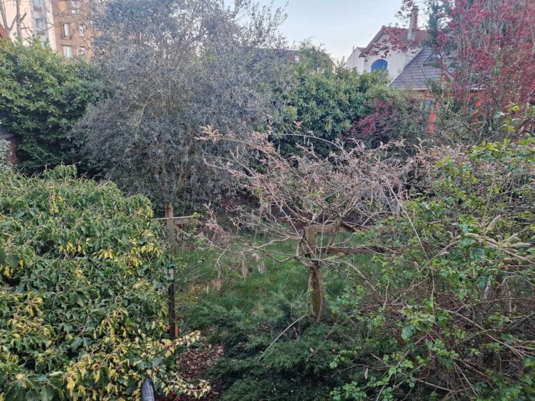 Maison d’habitation avec jardin, box, et ssol — photo 4